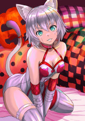 Rule 34 | 1girl, animal ear fluff, animal ears, animal print, asymmetrical clothes, bare shoulders, breasts, cat ears, cat print, cat tail, collar, collarbone, corset, elbow gloves, facial scar, fate/apocrypha, fate/grand order, fate (series), gloves, green eyes, grin, hair between eyes, halloween, highres, jack-o&#039;-lantern, jack the ripper (fate/apocrypha), ksfactory, layered gloves, looking at viewer, pumpkin, red gloves, red legwear, scar, scar across eye, scar on cheek, scar on face, short hair, single pantsleg, sitting, small breasts, smile, tail, wariza, white gloves, white hair