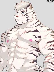 Rule 34 | 1boy, abs, animal ears, arknights, arms at sides, bara, cowboy shot, equinoxreverie, expressionless, facial hair, furry, furry male, goatee, groin, highres, large pectorals, looking at viewer, male focus, male pubic hair, mountain (arknights), muscular, muscular male, nipples, nude, pectorals, pubic hair, raised eyebrow, scar, scar across eye, scar on arm, short hair, solo, thick eyebrows, thick navel hair, tiger boy, tiger ears, white fur, white hair
