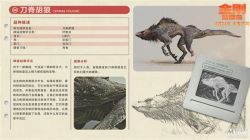 Rule 34 | animal, character profile, chinese text, concept art, conspiracy, death jackal, diagram, king kong (series), kong: skull island, legendary pictures, monarch (monsterverse), monster, monsterverse, nature, official art, promotional art, report, science, sketch, translation request, viral marketing