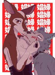 Rule 34 | 1boy, 1girl, beastars, breasts, collar, cosmo (beastars), furry, furry female, furry male, furry with furry, hetero, highres, legoshi, lipstick, lipstick mark, makeup, nipples, red background, spicedpopsicle, translation request, wolf, writing