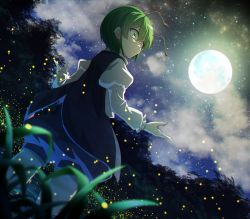 Rule 34 | 1girl, :o, antennae, black cape, blouse, blue shorts, blurry, blurry foreground, cape, cloud, cloudy sky, depth of field, dutch angle, feet out of frame, fireflies, from below, full moon, green eyes, green hair, hair between eyes, highres, juliet sleeves, kakutasu (akihiron cactus), long sleeves, looking to the side, moon, night, night sky, outdoors, parted lips, puffy sleeves, shirt, shorts, sky, solo, standing, star (sky), touhou, tree, white shirt, wriggle nightbug