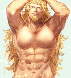 Rule 34 | 1boy, abs, ame ekai, arms up, bara, blonde hair, completely nude, cowboy shot, facial hair, goatee, groin, hand on own head, highres, killer (one piece), large pectorals, long hair, looking at viewer, male focus, muscular, muscular male, navel, nipples, nude, one piece, pectorals, smile, solo, wet, wet hair