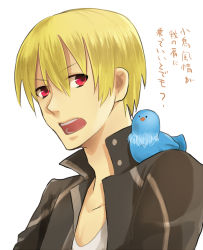 Rule 34 | 1boy, animal, animal on shoulder, bad id, bad pixiv id, bird, bird on shoulder, blonde hair, casual, fate/stay night, fate (series), gilgamesh (fate), jacket, male focus, official alternate costume, open mouth, red eyes, solo, white background, yomenookagedekomegaumai