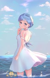 Rule 34 | 1girl, blue eyes, blue hair, blue sky, braid, cloud, crown braid, day, dress, fire emblem, fire emblem: three houses, from side, highres, looking back, marianne von edmund, nintendo, outdoors, sky, solo, tcong, wading, water, white dress