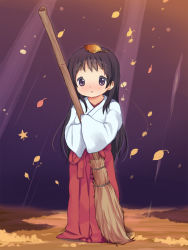 Rule 34 | 1girl, anyannko, autumn leaves, bad id, bad pixiv id, bamboo broom, black hair, blush, broom, child, highres, japanese clothes, leaf, leaf on head, long hair, long sleeves, looking at viewer, miko, object on head, original, oversized clothes, purple eyes, shirt, skirt, solo, wide sleeves