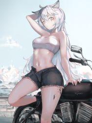 Rule 34 | 1girl, ahoge, animal ear fluff, animal ears, arknights, arm behind back, arm support, arm up, bandeau, bare arms, bare legs, bare shoulders, black footwear, black shorts, blue sky, boots, breasts, cloud, commentary, cowboy shot, cutoffs, day, eyyy, grey eyes, hair between eyes, highres, lappland (arknights), long hair, looking at viewer, material growth, medium breasts, midriff, motor vehicle, motorcycle, navel, open fly, oripathy lesion (arknights), outdoors, scar, scar across eye, scar on face, short shorts, shorts, silver hair, sky, solo, standing, standing on one leg, stomach, strapless, thighs, tube top, very long hair, wolf ears