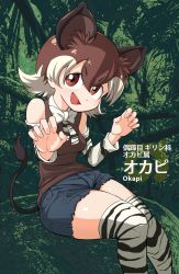 Rule 34 | 10s, 1girl, bad id, bad twitter id, bare shoulders, bow, bowtie, brown eyes, brown hair, character name, highres, inarou (rakugakiproject), japari symbol, jungle, kemono friends, leaf, multicolored hair, nature, okapi (kemono friends), okapi ears, okapi tail, open mouth, sitting, solo, thighhighs, two-tone hair, white hair