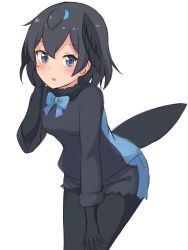 Rule 34 | 1girl, :o, absurdres, bird tail, black gloves, black hair, black pantyhose, black shirt, black shorts, blue bow, blue bowtie, blue eyes, blush, bow, bowtie, commentary, cowboy shot, gloves, hand in own hair, hand on own thigh, head wings, highres, kemono friends, leaning forward, pantyhose under shorts, long sleeves, looking at viewer, open mouth, pantyhose, shiraha maru, shirt, short hair, shorts, simple background, solo, standing, superb bird-of-paradise (kemono friends), tail, white background, wings