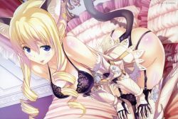 Rule 34 | 10s, 1girl, :p, absurdres, animal ears, armor, ass, bed, bertille althusser, black bra, black thighhighs, blonde hair, blue eyes, bra, breasts, cat ears, cat tail, cleavage, drill hair, garter straps, greaves, heart, heart-shaped pupils, highres, lace, lace-trimmed legwear, lace trim, long hair, mutsumi masato, solo, symbol-shaped pupils, tail, thighhighs, tongue, tongue out, twin drills, underwear, very long hair, walkure romanze
