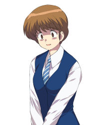 Rule 34 | 1girl, a1 (initial-g), androgynous, brown eyes, brown hair, collared shirt, dress shirt, female focus, frown, long sleeves, maison ikkoku, nanao kozue, necktie, scared, shaded face, shirt, short hair, simple background, solo, sweatdrop, sweater vest, v arms, white background, white shirt
