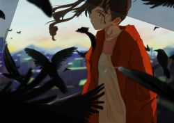Rule 34 | 1girl, asai umi, bird, black bird, black feathers, brown hair, commentary request, crow, drill hair, evening, feathers, jacket, long hair, mountainous horizon, open clothes, open jacket, original, outdoors, profile, red jacket, shirt, solo, sunlight, white shirt