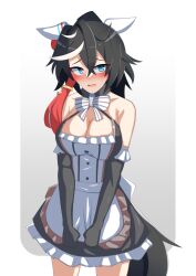 Rule 34 | 1girl, alternate costume, animal ears, black dress, black gloves, black hair, blue eyes, blush, border, bow, bowtie, breasts, cleavage, commentary request, detached collar, dress, ear covers, elbow gloves, enmaided, gloves, gradient background, hair between eyes, hair ornament, horse ears, horse girl, horse tail, ishitsuma canon, katsuragi ace (umamusume), large breasts, maid, multicolored hair, open mouth, ponytail, solo, streaked hair, tail, tassel, tassel hair ornament, umamusume, white border, white bow, white bowtie, white hair