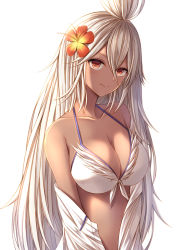 Rule 34 | 1girl, bare shoulders, bikini, breasts, brown eyes, cleavage, closed mouth, commentary request, dark-skinned female, dark skin, flower, gradient background, granblue fantasy, hair between eyes, hair flower, hair ornament, hibiscus, kanpyou (hghgkenfany), large breasts, long hair, looking at viewer, off shoulder, open clothes, orange flower, silver hair, smile, solo, swimsuit, topknot, upper body, very long hair, white background, white bikini, zooey (granblue fantasy), zooey (summer) (granblue fantasy)