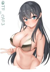 Rule 34 | 1girl, absurdres, agano (kancolle), bare shoulders, bikini, black hair, blue eyes, blush, bottomless, breasts, cleavage, collarbone, gold bikini, highres, kantai collection, large breasts, long hair, looking at viewer, navel, one-hour drawing challenge, solo, swimsuit, tf cafe, victory pose