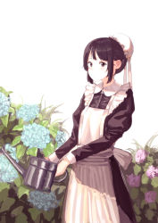 Rule 34 | 1girl, absurdres, apron, black hair, commentary request, flower, hat, hennekobakatesu, highres, holding, hydrangea, looking at viewer, maid, maid apron, maid cap, mob cap, original, solo, watering can