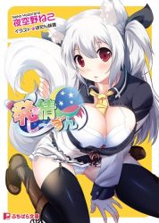 Rule 34 | 1girl, animal ears, artist request, blush, character request, cleavage, cover, cover page, hatsujou season, kneeling, long hair, looking at viewer, official art, open \m/, panties, pantyshot, red eyes, silver hair, solo, straight hair, tagme, tail, underwear