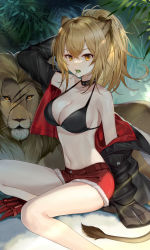Rule 34 | 1girl, absurdres, animal, animal ears, arknights, arm up, armpits, bare legs, bare shoulders, bikini, bikini top only, black bikini, black choker, black jacket, blonde hair, breasts, candy, choker, cleavage, cutoffs, fangs, food, halterneck, highres, ion (on01e), jacket, lion, lion ears, lion girl, lion tail, lollipop, long hair, long sleeves, looking at viewer, medium breasts, mouth hold, navel, off shoulder, open clothes, open jacket, open mouth, orange eyes, ponytail, red shorts, short shorts, shorts, siege (arknights), sitting, solo, stomach, string bikini, swimsuit, tail, thighs