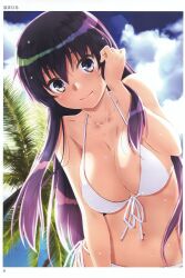 Rule 34 | 1girl, absurdres, areola slip, backlighting, bare shoulders, bikini, breasts, cleavage, closed mouth, collarbone, day, front-tie bikini top, front-tie top, halterneck, highres, izumi mahiru, large breasts, long hair, non-circular lens flare, outdoors, palm tree, purple hair, smile, solo, swimsuit, toranoana, tree, upper body, wet, white bikini