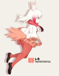 Rule 34 | 10s, 1girl, :o, ass, blunt bangs, character name, english text, frilled sleeves, frills, from side, full body, fur collar, half-closed eyes, head wings, japanese crested ibis (kemono friends), japari symbol, kemono friends, legs, long sleeves, multicolored hair, open mouth, pantyhose, pleated skirt, red pantyhose, shigino sohuzi, shirt, short hair with long locks, simple background, skirt, solo, tail, text focus, two-tone hair, white background, white hair, white shirt, wide sleeves, wings, yellow eyes