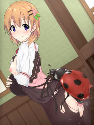 Rule 34 | 1girl, absurdres, bestiality, black pantyhose, blue eyes, blush, breasts, breasts out, brown hair, bug, censored, closed mouth, gochuumon wa usagi desu ka?, hair ornament, hairclip, highres, hoto cocoa, indoors, insect, ladybug, large breasts, mingaru, mosaic censoring, neckerchief, nipples, no bra, no panties, pantyhose, penis, rabbit house uniform, red neckerchief, sex, shiny skin, short hair, standing, standing sex, torn clothes, torn legwear, vaginal, window
