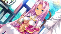 Rule 34 | 1boy, 1girl, blue eyes, breasts, center opening, chair, cleavage, cup, dress, facial mark, forehead mark, game cg, hair intakes, hikage eiji, hongou kazuto, koihime musou, long hair, navel, outdoors, pink hair, plant, red dress, shirt, sitting, sky, smile, sonken, table, teacup, thighhighs, tree, very long hair, white shirt, white thighhighs
