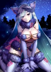 Rule 34 | 1girl, :&gt;, animal ears, areola slip, bad id, bad pixiv id, between legs, blush, breasts, brynhildr (fate), closed mouth, cosplay, elbow gloves, eyes visible through hair, fate/grand order, fate/prototype, fate/prototype: fragments of blue and silver, fate (series), fox ears, fox tail, fur-trimmed gloves, fur-trimmed legwear, fur collar, fur trim, gloves, hair ornament, hair over one eye, hand between legs, highres, kneeling, lace, lace-trimmed legwear, lace trim, large breasts, long hair, looking at viewer, mash kyrielight, mash kyrielight (dangerous beast), mash kyrielight (dangerous beast) (cosplay), meaomao, night, o-ring, o-ring top, official alternate costume, outdoors, purple eyes, purple gloves, purple thighhighs, revealing clothes, silver hair, sky, smile, solo, star (sky), starry sky, tail, thighhighs, thighs, tsurime, very long hair, wolf ears, wolf tail