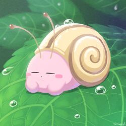 Rule 34 | antennae, blush stickers, colored skin, commentary request, creature, highres, kirby, kirby (series), leaf, natsuring0, nintendo, no humans, pink skin, signature, snail shell, solo, wet