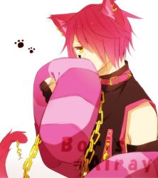 Rule 34 | 1boy, animal ears, boris airay, cat ears, cat tail, chain, collar, ear piercing, earrings, feather boa, fingerless gloves, gloves, hair over one eye, heart no kuni no alice, image sample, jewelry, md5 mismatch, piercing, pink hair, pixiv sample, resolution mismatch, rutta, short hair, source larger, tail, yellow eyes