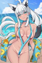 Rule 34 | 1girl, absurdres, ahoge, animal ears, beach, bikini tan, bird, blue eyes, blue sky, blush, braid, breasts, cameltoe, cloud, commentary, coubalty, dark-skinned female, dark skin, english commentary, fox ears, fox tail, grin, highres, hololive, long hair, looking at viewer, outdoors, paid reward available, ponytail, shirakami fubuki, sky, slingshot swimsuit, smile, solo, swimsuit, tail, tan, tanline, towel, variant set, virtual youtuber, white hair