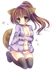 Rule 34 | 1girl, animal ears, bad id, bad pixiv id, black thighhighs, blush, breasts, brown eyes, brown hair, cleavage, collar, dog ears, dog tail, full body, kneeling, kouta., large breasts, long sleeves, no pants, open clothes, open shirt, original, panties, ponytail, shirt, simple background, smile, solo, tail, thighhighs, underwear, white background, white panties
