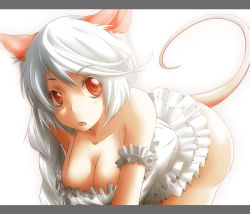Rule 34 | 1girl, animal ears, ao usagi, breasts, cleavage, fictional persona, letterboxed, long hair, mouse ears, mouse tail, original, red eyes, self-portrait, shiro nezumi, solo, tail