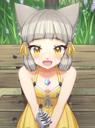 Rule 34 | 1girl, alten, animal ear fluff, animal ears, blunt bangs, blush, breasts, cat ears, chest jewel, dress swimsuit, fangs, female focus, highres, looking at viewer, nia (fancy sundress) (xenoblade), nia (xenoblade), one-piece swimsuit, open mouth, outdoors, short hair, silver hair, small breasts, smile, solo, swimsuit, teeth, tongue, xenoblade chronicles (series), xenoblade chronicles 2, yellow eyes, yellow one-piece swimsuit
