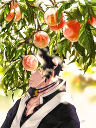 Rule 34 | 1boy, 8aoiii, absurdres, black hair, blurry, branch, choker, closed mouth, covered eyes, day, depth of field, food, fruit, fruit tree, highres, japanese clothes, jewelry, kaigaku, kimetsu no yaiba, lips, magatama, male focus, nature, peach, portrait, short hair, sidelocks, solo, tree, vest