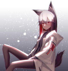 Rule 34 | 1girl, absurdres, animal ear fluff, animal ears, arknights, beudelb, black shirt, colored inner hair, fur-trimmed hood, fur-trimmed jacket, fur-trimmed sleeves, fur trim, highres, hood, jacket, multicolored hair, official alternate costume, red eyes, shirt, shorts, snow, solo, tail, texas (arknights), texas (winter messenger) (arknights), thighhighs, white jacket, white shorts, wolf ears, wolf tail