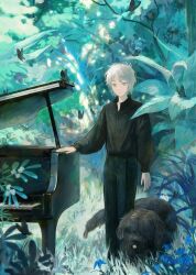 Rule 34 | 1boy, animal, black pants, black shirt, bug, butterfly, closed mouth, collared shirt, day, dog, expressionless, flower, forest, grand piano, grass, grey eyes, grey hair, highres, insect, instrument, kotorino mabuta, long sleeves, looking at viewer, male focus, nature, original, outdoors, pants, piano, plant, puffy long sleeves, puffy sleeves, shirt, short hair, solo, standing, tree, white hair