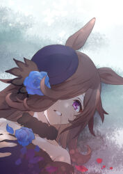 Rule 34 | 1girl, animal ears, black choker, blue flower, blue rose, brown hair, choker, close-up, collarbone, commentary request, crying, crying with eyes open, dirty, dirty face, dutch angle, flower, hair flower, hair ornament, hair over one eye, horse ears, horse girl, long hair, looking at viewer, motoyon, on grass, one eye covered, outdoors, petals, purple eyes, rice shower (umamusume), rose, rose petals, solo, streaming tears, tears, umamusume
