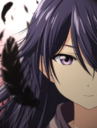 Rule 34 | 1girl, black feathers, blurry, close-up, closed mouth, depth of field, expressionless, feathers, gradient background, hair over one eye, kuroki rei, long hair, looking at viewer, nori tamago, purple eyes, purple hair, red background, simple background, solo, vividred operation