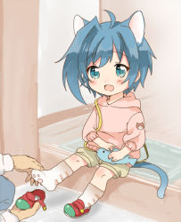 Rule 34 | 10s, 1boy, ahoge, animal ears, bad id, bad pixiv id, blue eyes, blue hair, cardfight!! vanguard, cat boy, cat ears, cat tail, chawanmushi (ebikamaboko), fang, full body, hood, hoodie, male focus, open mouth, putting on shoes, sendou aichi, shoes, shorts, single shoe, smile, tail, aged down