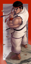 Rule 34 | 1boy, absurdres, barefoot, black hair, brown eyes, capcom, crossed arms, dougi, from above, frown, headband, highres, leaf, long image, looking back, male focus, manly, muscular, ryu (street fighter), sakkan, short hair, solo, street fighter, tall image, wristband