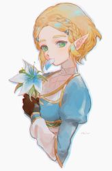 Rule 34 | 1girl, blonde hair, blue flower, blue shirt, braid, breasts, eating flower, fingerless gloves, flower, gloves, green eyes, hair ornament, hairclip, high collar, holding, holding flower, juliet sleeves, long sleeves, looking at viewer, medium breasts, nintendo, parted bangs, pointy ears, princess zelda, puffy sleeves, rain rkgk, shirt, short hair, sidelocks, simple background, solo, the legend of zelda, the legend of zelda: breath of the wild, the legend of zelda: tears of the kingdom, thick eyebrows, upper body, white background
