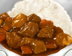 Rule 34 | curry, food, food focus, meat, no humans, photorealistic, realistic, rice