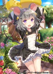 Rule 34 | 1girl, :d, animal ears, arms up, black dress, bloomers, blue sky, bush, cheese, cheese earrings, day, door, dress, earrings, flat chest, flower, food, food-themed earrings, frills, garden, grey hair, hair ornament, hairclip, hakuda tofu, highres, jewelry, looking at viewer, medium hair, mouse ears, mouse girl, mouse tail, open mouth, outdoors, pink ribbon, purple eyes, ribbon, ribbon-trimmed dress, shinkai no valkyrie, sky, smile, solo, standing, tail, tree, underwear