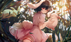 Rule 34 | 1girl, animal, animal ears, azusa0v0, bamboo, bamboo forest, black hair, blush, rabbit, dress, forest, frilled sleeves, frills, hair between eyes, highres, holding, holding animal, inaba tewi, nature, parted lips, pink dress, puffy short sleeves, puffy sleeves, rabbit ears, rabbit tail, red eyes, ribbon-trimmed clothes, ribbon-trimmed dress, ribbon trim, short hair, short sleeves, solo, tail, touhou