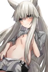 Rule 34 | animal ear fluff, animal ears, arknights, blush, closed mouth, clothes pull, grey shirt, grey shorts, head tilt, highres, horn/wood, horse ears, horse girl, horse tail, long hair, midriff, navel, platinum (arknights), platinum blonde hair, shirt, shirt pull, short shorts, shorts, shorts pull, simple background, smile, striped clothes, striped shirt, tail, very long hair, white background, yellow eyes