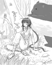 Rule 34 | 00s, 1girl, :d, ^ ^, against tree, ahoge, animal, animals kissing, arm support, bandages, bare shoulders, bear, bird, blunt bangs, blush, closed eyes, deer, eating, food, forest, grass, greyscale, hair ribbon, happy, holding, japanese clothes, kiss, leaning back, long hair, mahou sensei negima!, monochrome, nagase kaede, nature, ninja, no panties, nut (food), object on head, on ground, open mouth, outdoors, ponytail, rabbit, reclining, ribbon, rock, sandals, sash, side slit, sidelocks, sitting, sleeveless, smile, socks, solo, squirrel, tree, very long hair, yuzu (hide and seek), zouri