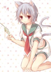 Rule 34 | ^^^, 10s, 1girl, animal ears, cat ears, cat tail, character name, chestnut mouth, kantai collection, kemonomimi mode, komeshiro kasu, necktie, paw pose, personification, pink eyes, short hair, shorts, silver hair, solo, tail, tama (kancolle)