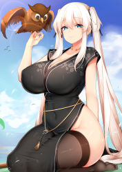 Rule 34 | 1girl, absurdres, arm behind back, bird, bird on hand, black dress, black ribbon, black thighhighs, blue eyes, blue sky, blush, breasts, china dress, chinese clothes, chixiao, closed mouth, cloud, cloudy sky, collarbone, covered erect nipples, covered navel, day, dress, floral print, hair between eyes, hair ribbon, hand up, highres, lens flare, long hair, looking at breasts, looking at viewer, mabinogi, nao (mabinogi), no panties, no shoes, outdoors, ribbon, seiza, shiny skin, sitting, sky, smile, thick thighs, thighhighs, thighs, twintails, very long hair, white hair, wide hips