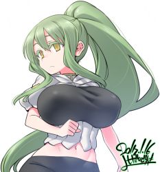 Rule 34 | 1girl, 2017, :&lt;, abs, artist name, bike shorts, borrowed character, breasts, closed mouth, dated, green hair, hip focus, large breasts, long hair, midriff, navel, original, ponytail, signature, simple background, solo, sumi-chan (sachito), upper body, very long hair, white background, yellow eyes, yoshida hideyuki