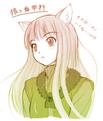 Rule 34 | 00s, 1girl, animal ears, holo, lowres, monochrome, sepia, solo, spice and wolf, toujou akira, wolf ears