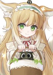 Rule 34 | 1090751939, 1girl, animal, animal ears, arknights, basket, black cat, blonde hair, blue hairband, cat, closed mouth, commentary request, crossover, fox ears, fox girl, fox tail, frilled hairband, frills, green eyes, hair between eyes, hairband, hands up, heixiu, highres, holding, holding basket, jacket, kitsune, long hair, looking at viewer, luo xiaohei, multicolored hair, neck ribbon, on head, red ribbon, ribbon, shirt, simple background, smile, suzuran (arknights), suzuran (spring praise) (arknights), tail, luo xiaohei zhanji, two-tone hair, upper body, very long hair, white background, white hair, white jacket, white shirt